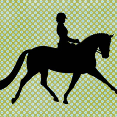 Dressage Horse Vinyl Decal Sticker for wholesale by Bow-Dacious Designs