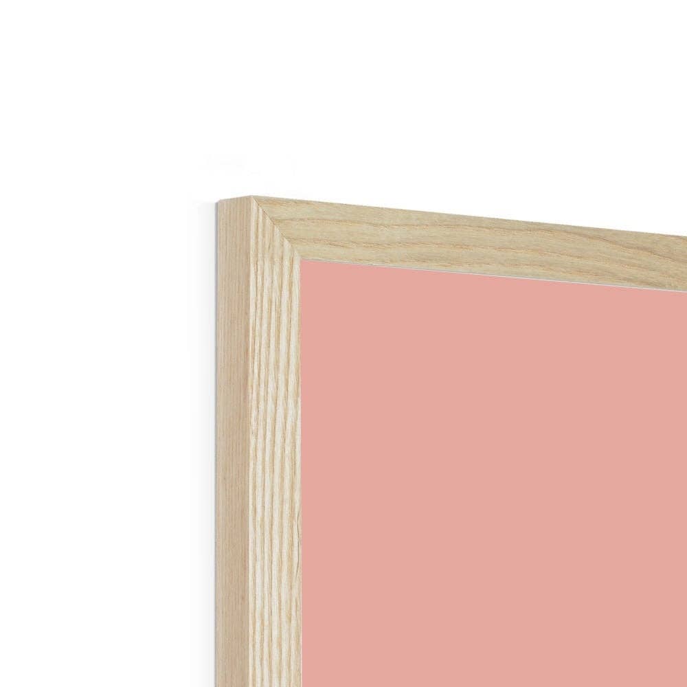 Woo Hoo Prints - Wholesale Art Print - BOTANICAL PLANT PEACH PINK PRINT8