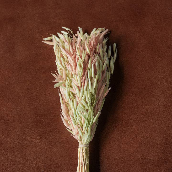 Blue Ocean Traders - Wholesale Dried/Pressed Flowers - Mixed Dried Grasses and Florals Multicolor, 12"