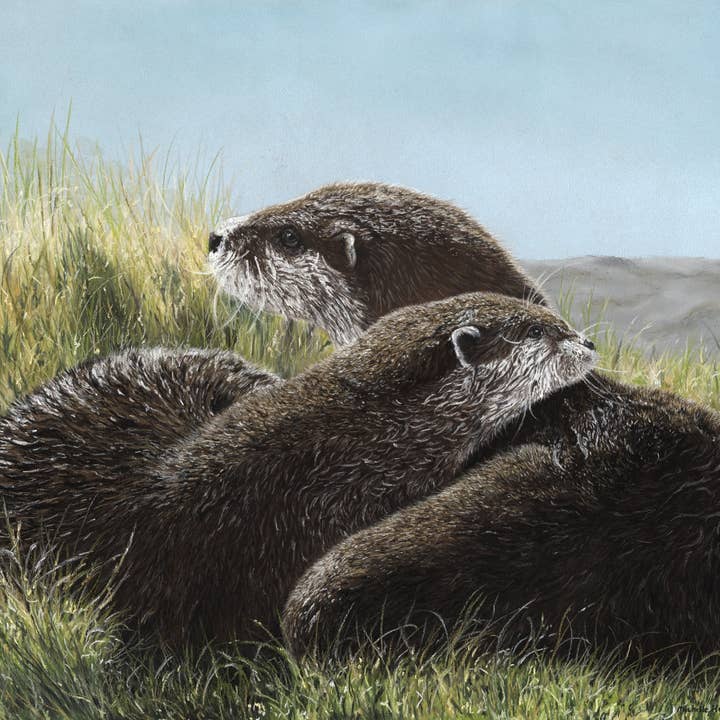 Tryck av originalpastellkonstverk 'Bara vi två' för wholesale av Michelle Hewitt Wildlife Artist