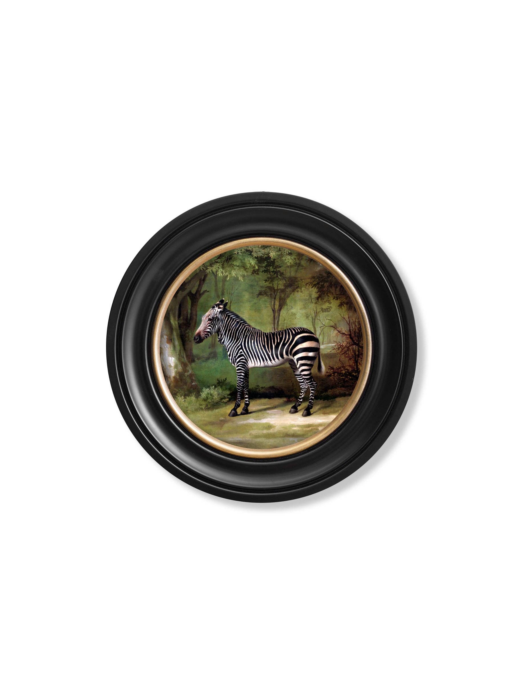 T A Interiors Wall Art & Mirrors – wholesale Art print – c.1763 George Stubb's Zebra - Round Frame0