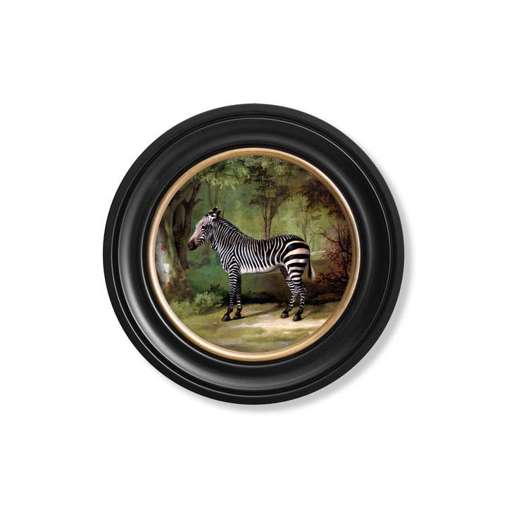 T A Interiors Wall Art & Mirrors – wholesale Art print – c.1763 George Stubb's Zebra - Round Frame
