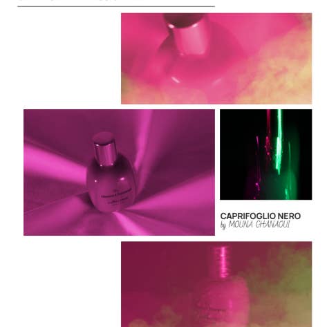 Maison de Parfum Berry - Wholesale Perfume/Eau de Toilette - Olfactory Exploration – Centifolia Collection (5x1.8ml)5