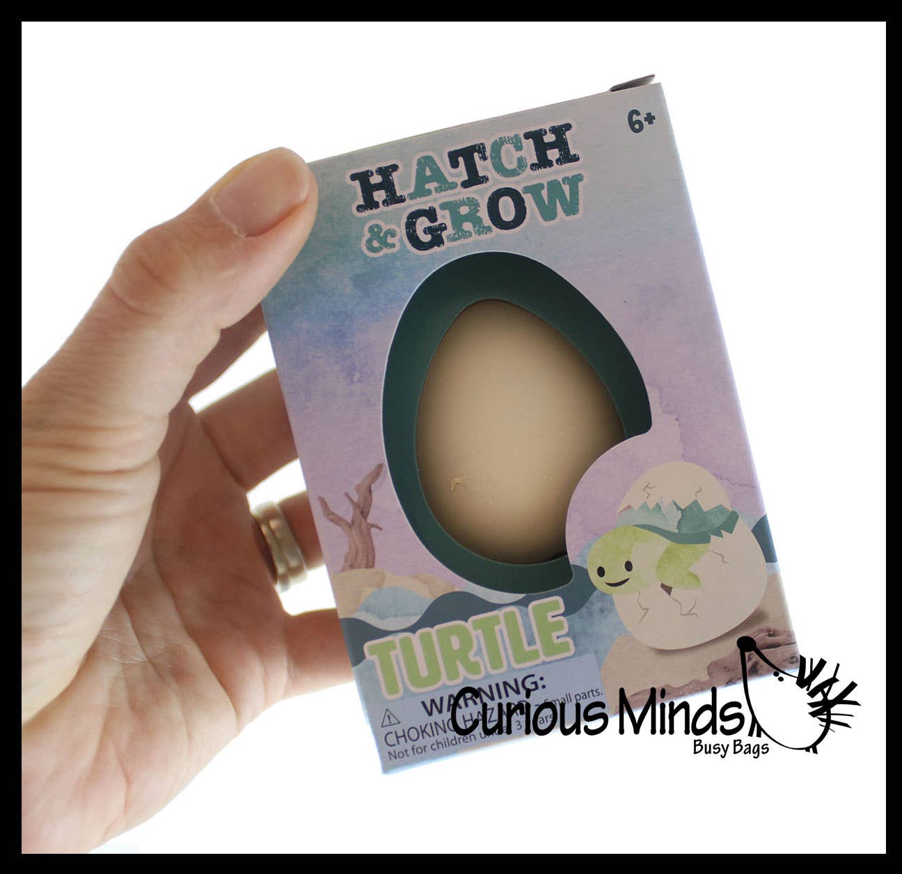 Curious Minds Toys - Wholesale Toy Set - Kids - 1 Hatch a Turtle Animal Grow in Water - Add Water Expands1