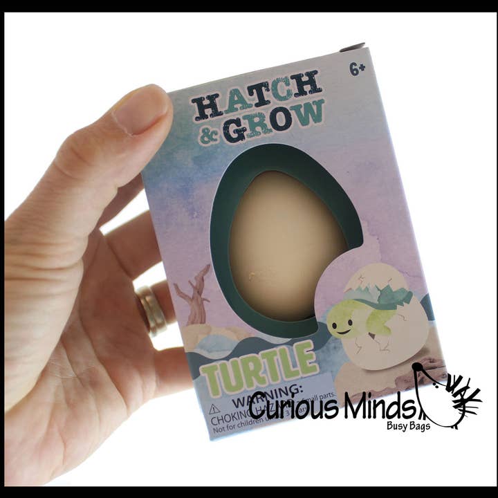 Curious Minds Toys - Wholesale Toy Set - Kids - 1 Hatch a Turtle Animal Grow in Water - Add Water Expands1
