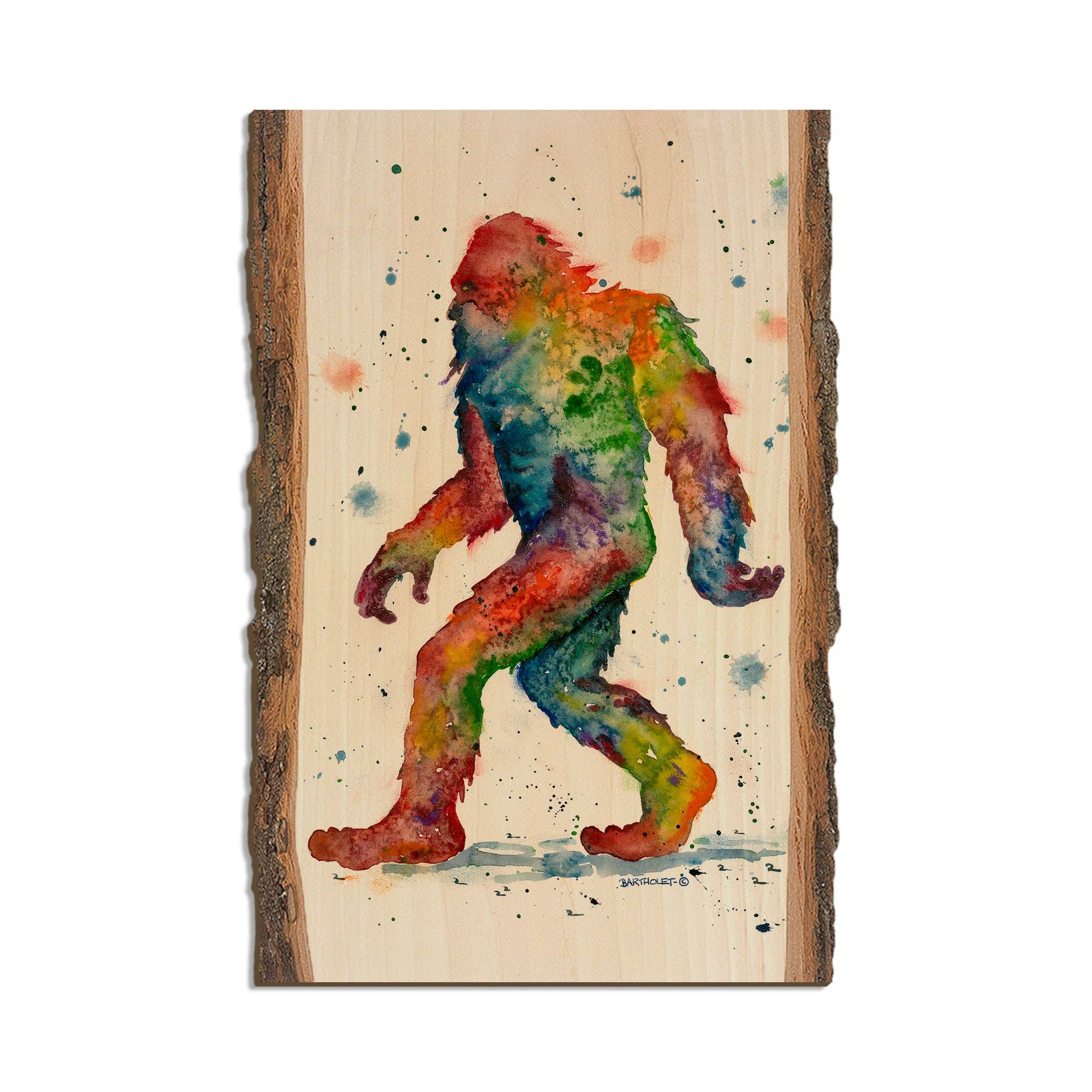 DaydreamHQ - Vente Cartes postales - Rainbow Sasquatch - Aimants et cartes postales en bois2