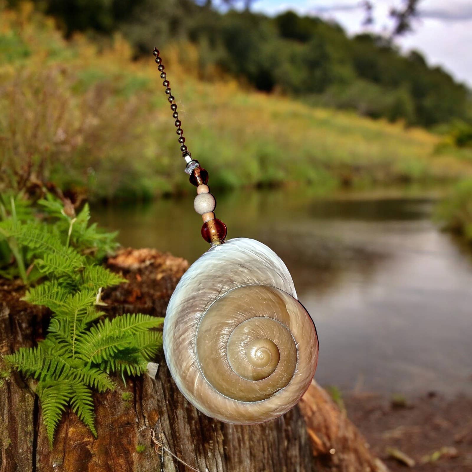 Shell We Sea Designs - Vente Décorations de table - Grand ventilateur en forme de coquillage, chaîne de plafond à tirer en forme de coquillage4