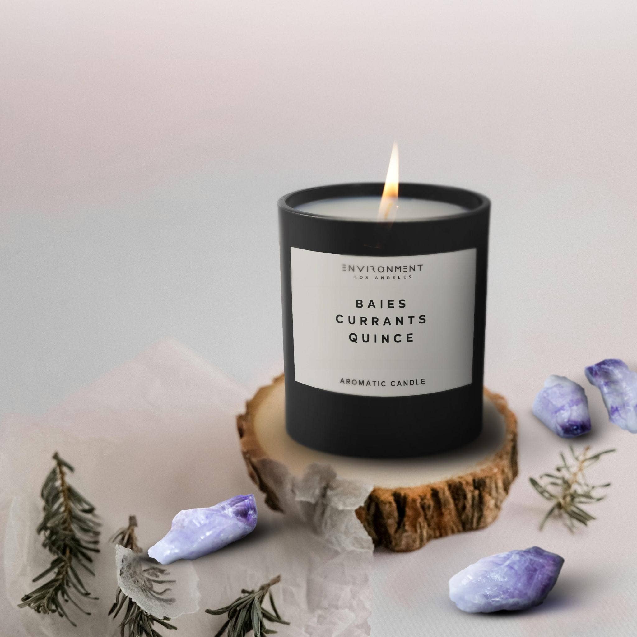 ENVIRONMENT – wholesale Jar/filled candle – 8oz Inspired by Diptyque® Candle with Lid and Box Baies | Cu9