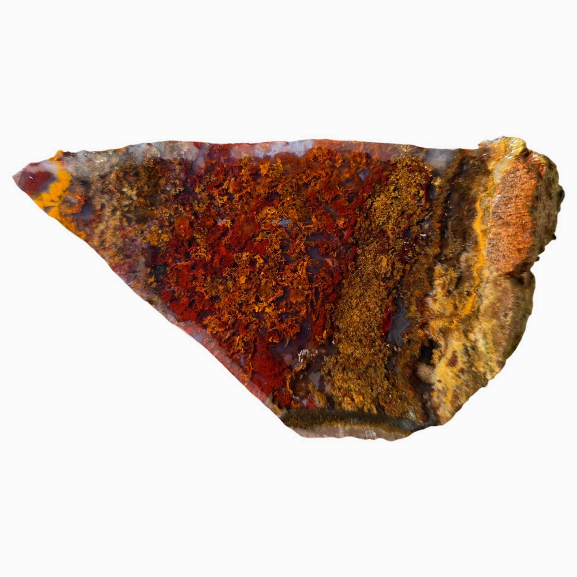 Lapidary Central - Wholesale Spiritual Stone/Crystal - San Carlos Agate Slab Vibrant Red Moss and High-Contrast Agate Pattern4