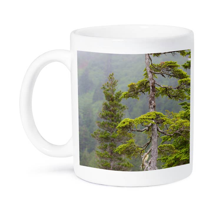 3dRose - Vendita all'ingrosso Tazza - 3dRose, USA, Alaska, Parco nazionale della Baia dei Ghiacciai. Paesaggio di albero di cicuta., Tazza8