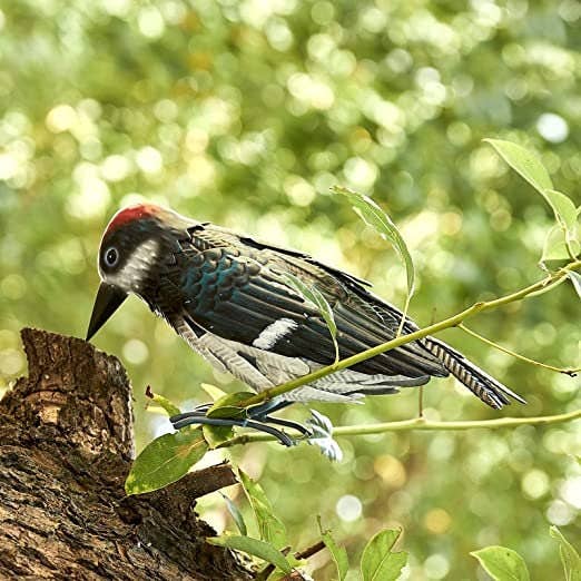 The Wine Savant / Khen Glassware - Wholesale Sculpture - Metal Woodpecker Bird Figurine 7" Lawn Decor 10