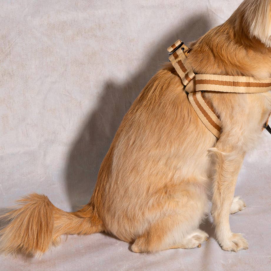 Saint Rue - Wholesale Pet Harness - Dog - Le Classic Dog Harness1