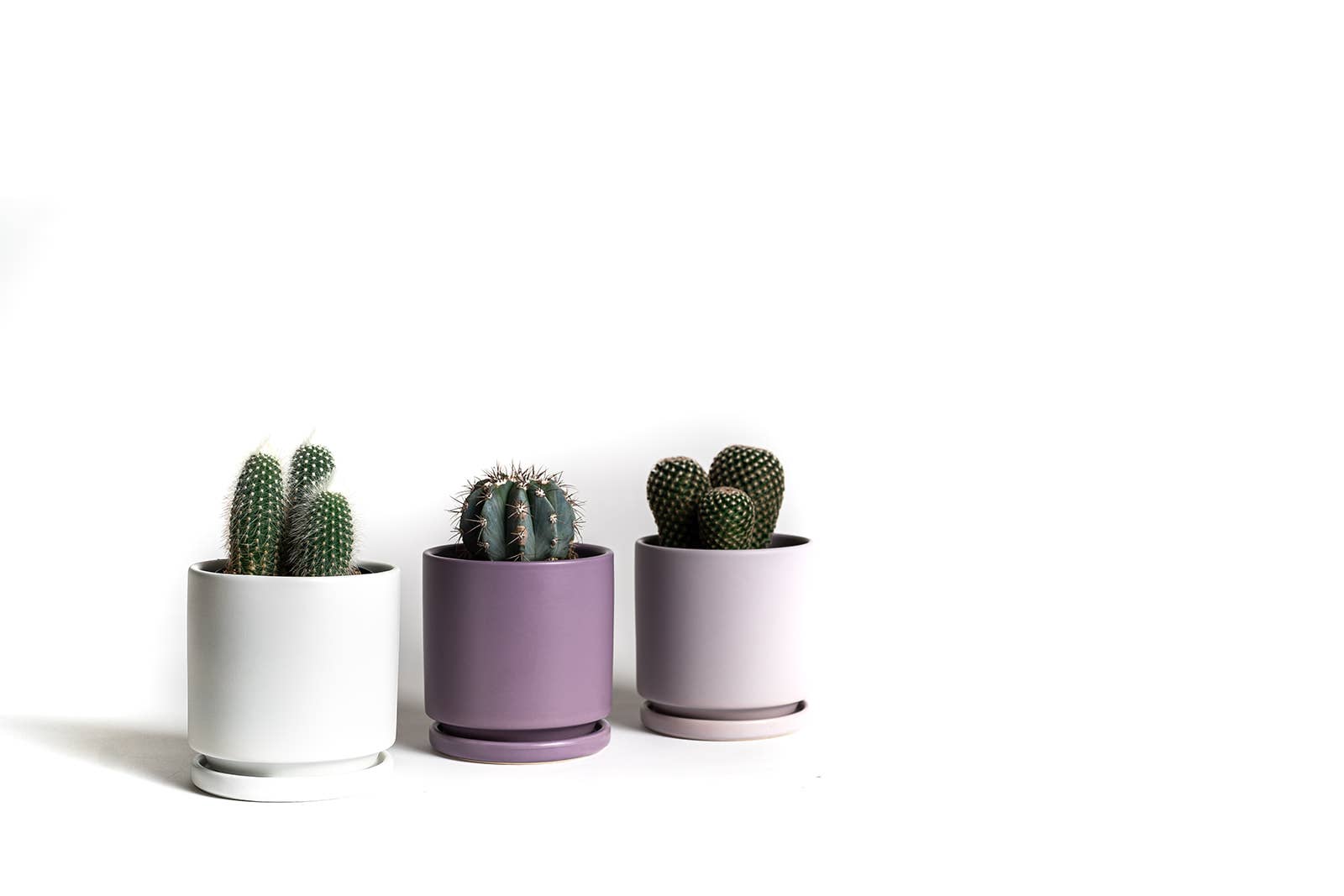 Momma Pots - Wholesale Plant Pot - 4.5" Gemstone Cylinder Pots with Water Saucers27