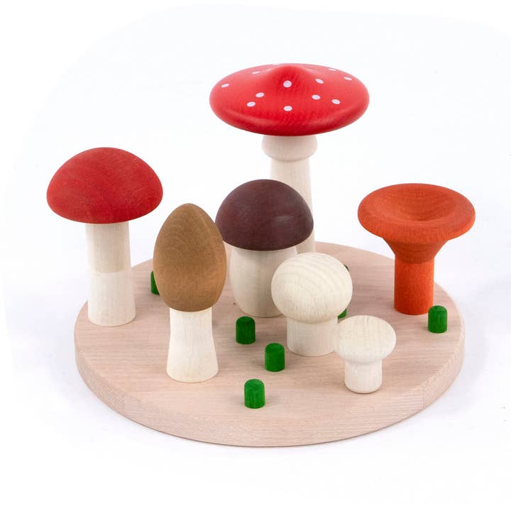 Bajo Mushrooms sorter for wholesale by Little Poland Gallery