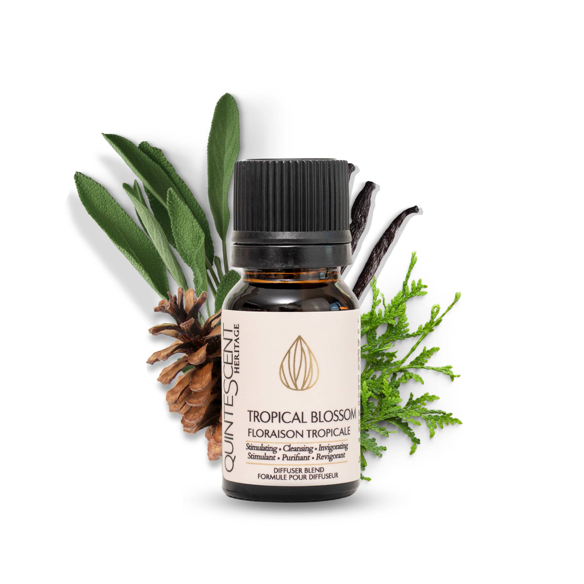 QuinteScent Heritage – wholesale Essential oil – Tropical Blossom - Floraison Tropicale | Essential Oil Blend