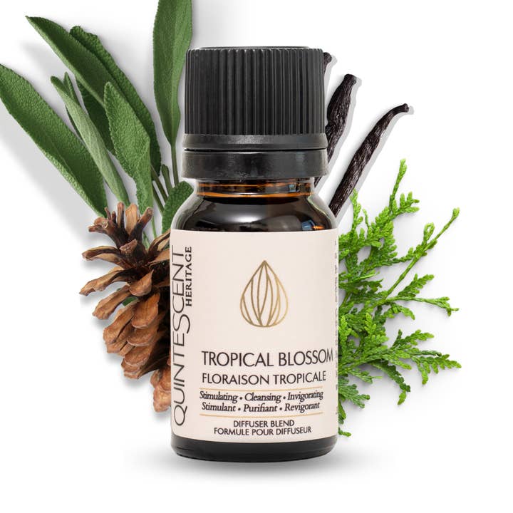 QuinteScent Heritage – wholesale Essential oil – Tropical Blossom - Floraison Tropicale | Essential Oil Blend0