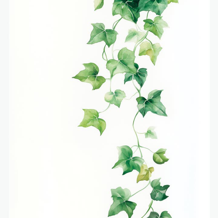 MokaMouse - Wholesale Art Print - Watercolor ivy2