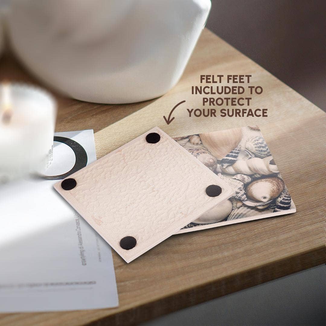 3dRose - Wholesale Coasters - 3dRose, Vintage Style Sea Shell Collection, Coaster3