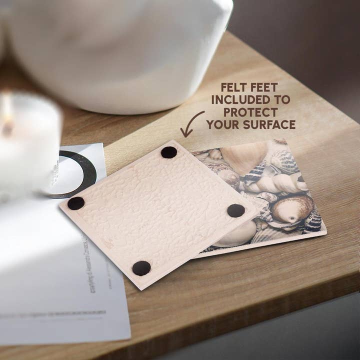 3dRose - Wholesale Coasters - 3dRose, Vintage Style Sea Shell Collection, Coaster3