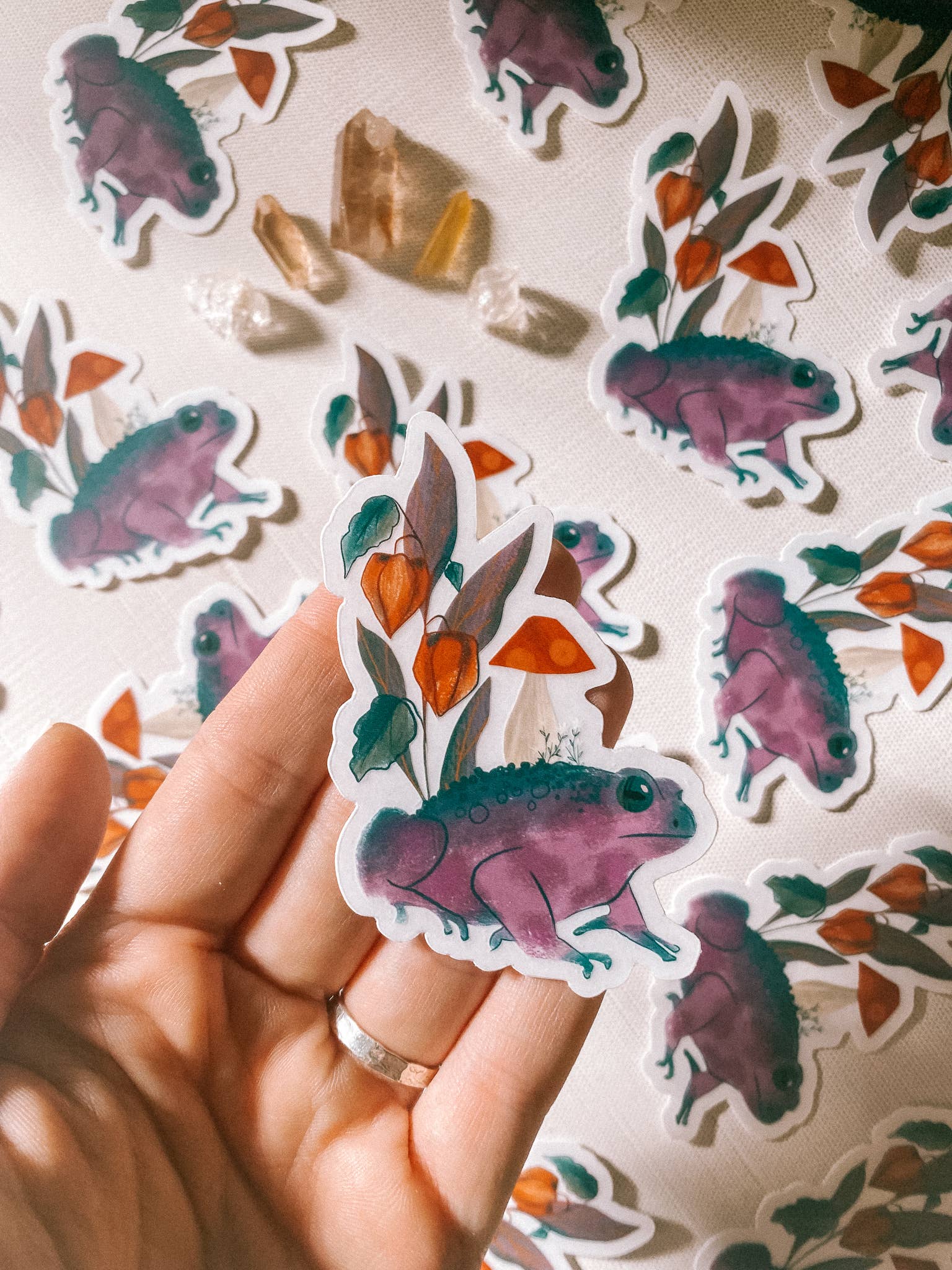 Lantern Print Co. - Vendita all'ingrosso Adesivo - Adesivo in Vinile: Spirito del Rospo - 3" Trasparente2