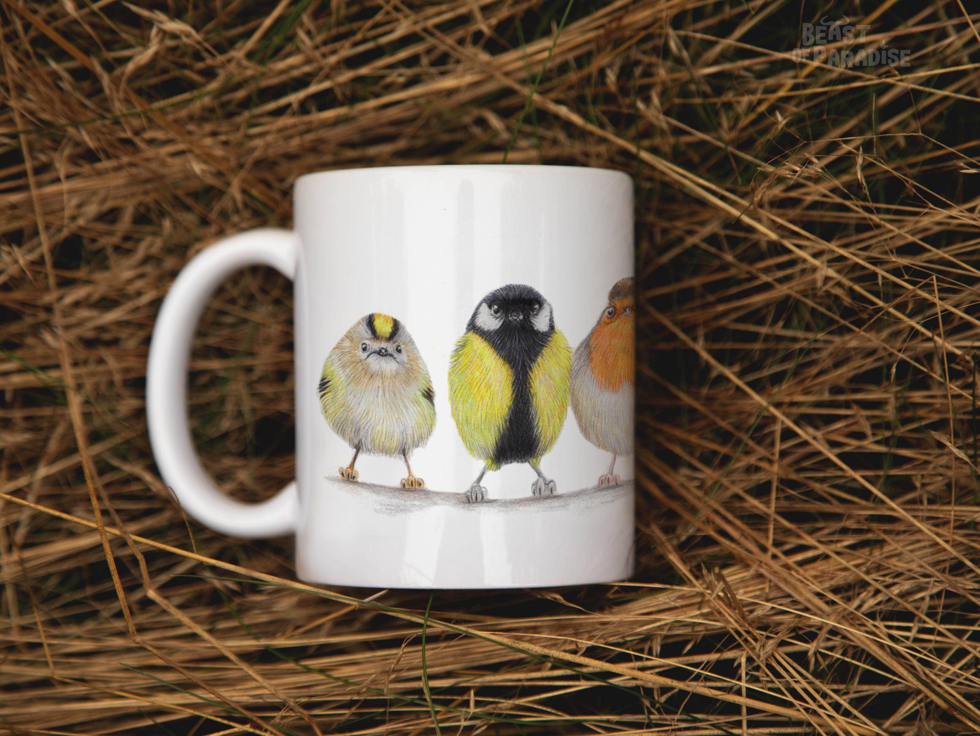 Beast of Paradise - Wholesale Coffee/Tea Cup - Ceramic Mug, European Birds, Funny Mugs, Animal Mug5