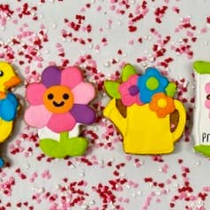 Lucky Biscuit Pet Bakery - Wholesale Pet Treats - Dog - Colorburst Spring Bloom Collection3
