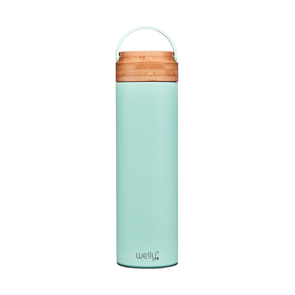 Welly - Wholesale Water Bottle - Traveler 20oz10