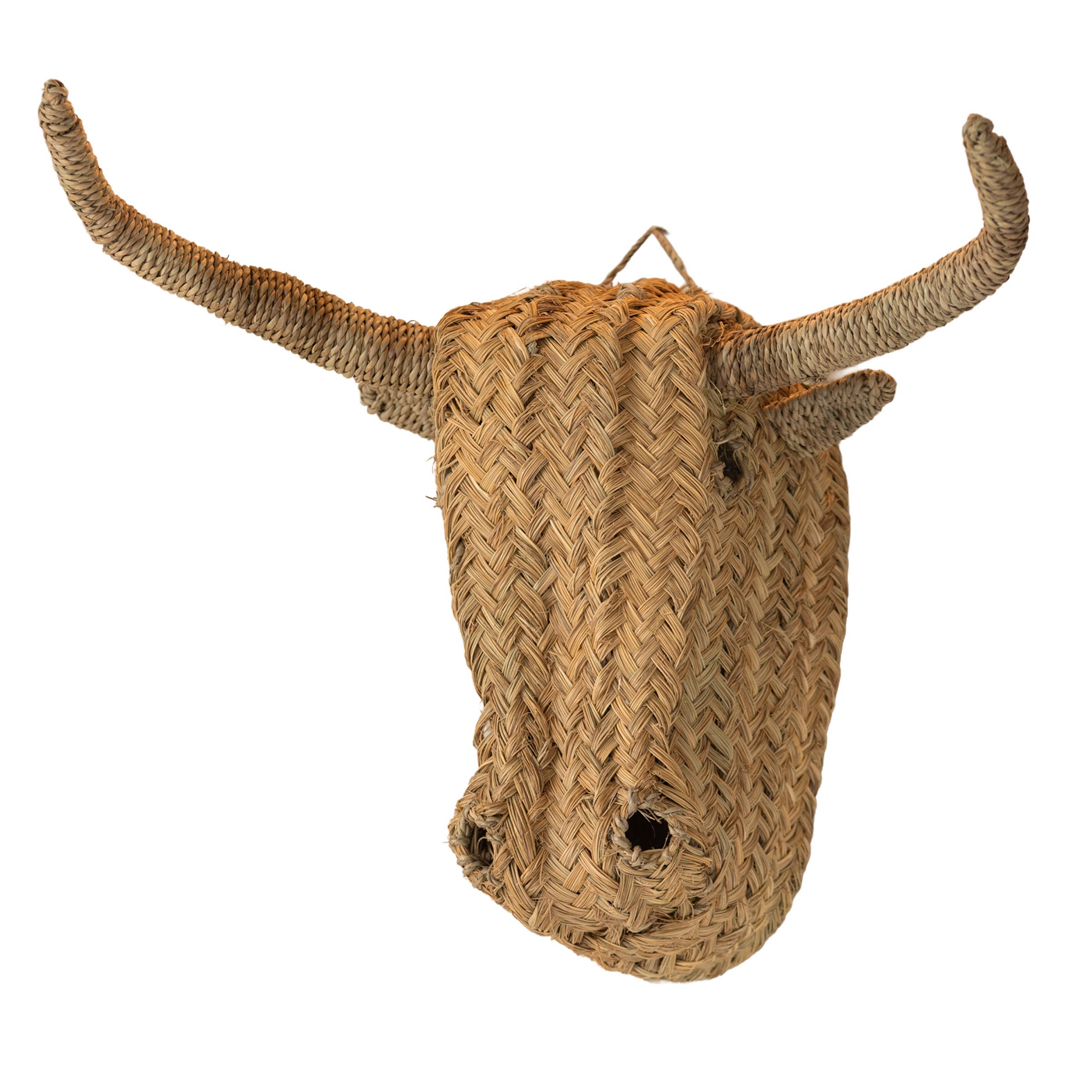 Collection Maroc - Wholesale Wall Accent - Bull Head Wall Decor - 55 cm2
