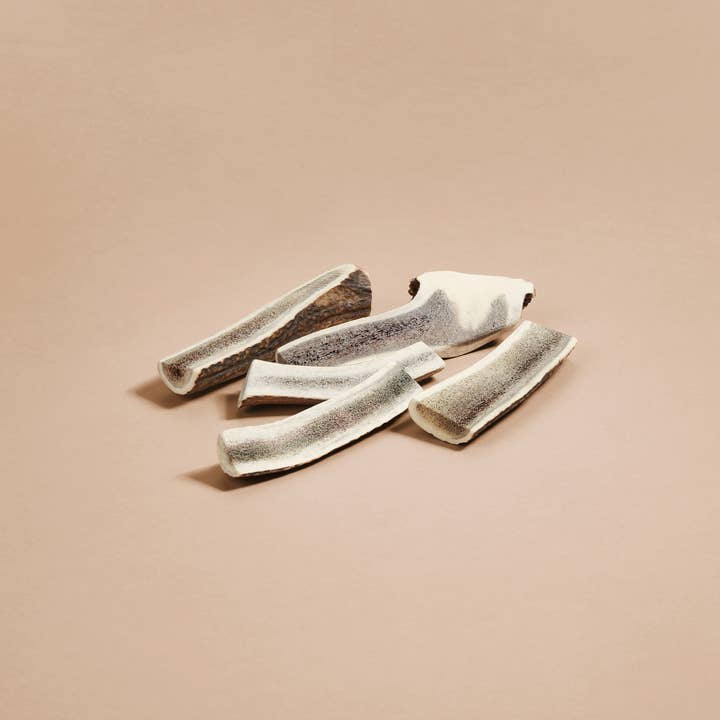 CANOPHERA GmbH - Wholesale Pet Chew Toy - Dog - Dog Chew Made Of Red Deer Antler Splits.8