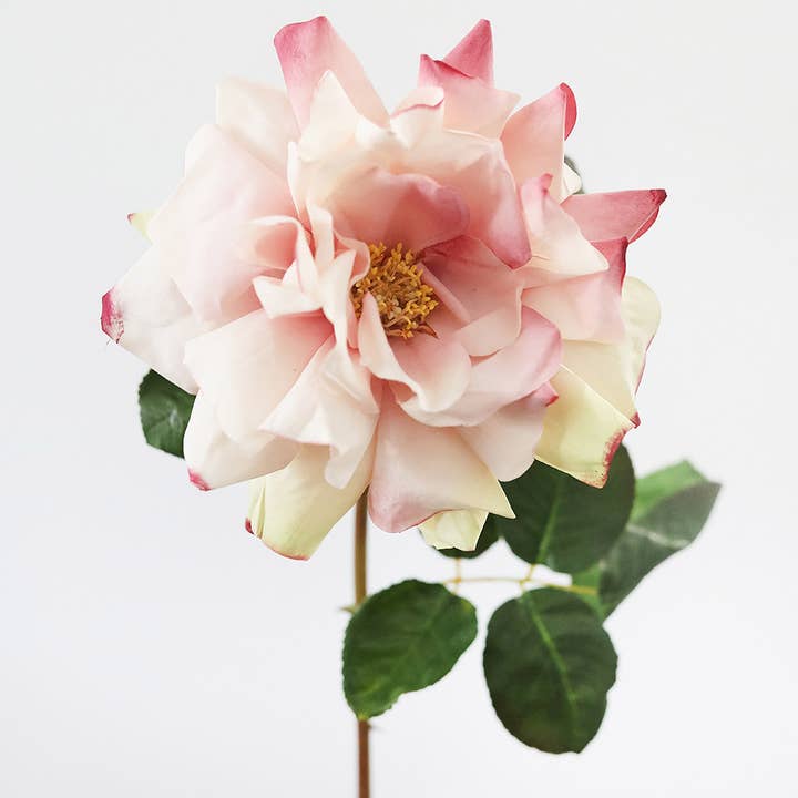 Prestige Botanicals - Wholesale Artificial Flowers - Large Pink Dutchess Rose 20"2