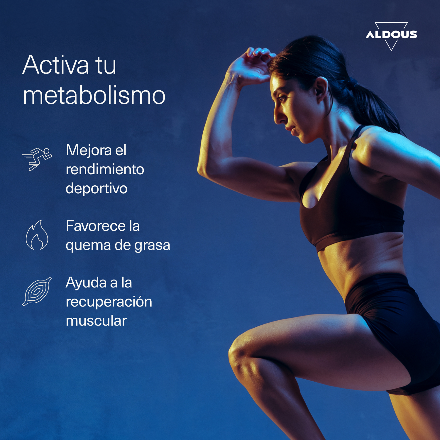 Aldous Bio - Vendita all'ingrosso Vitamine/integratori orali - L Carnitina 2000mg - 200 Compresse - Aldous3