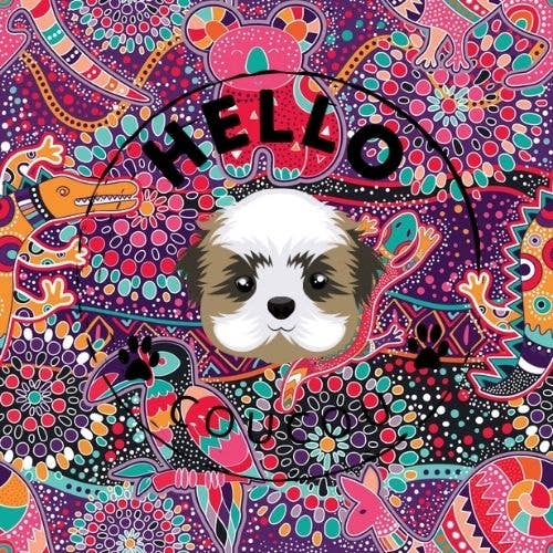 Hello Coucou - Wholesale Pet nappy – Dog - Aussie Dreaming - Male Nappy/Belly Band DOG CAT2