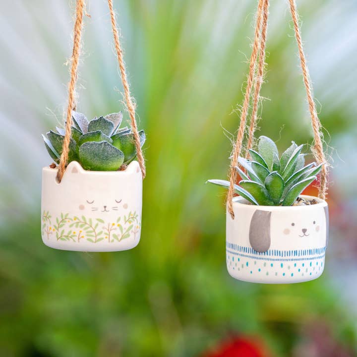 Karma - Wholesale Hanging Planter - Hanging Shaped Succulent Pot