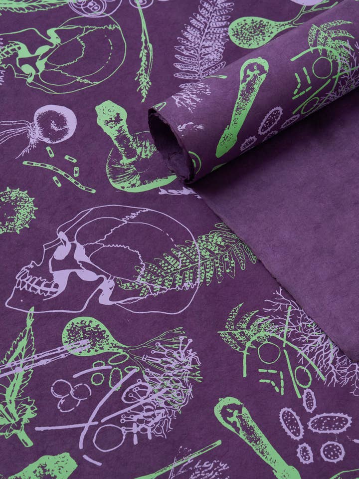 Poisonous Plants Wrapping Paper (Case of 6) for wholesale by Cognitive Surplus
