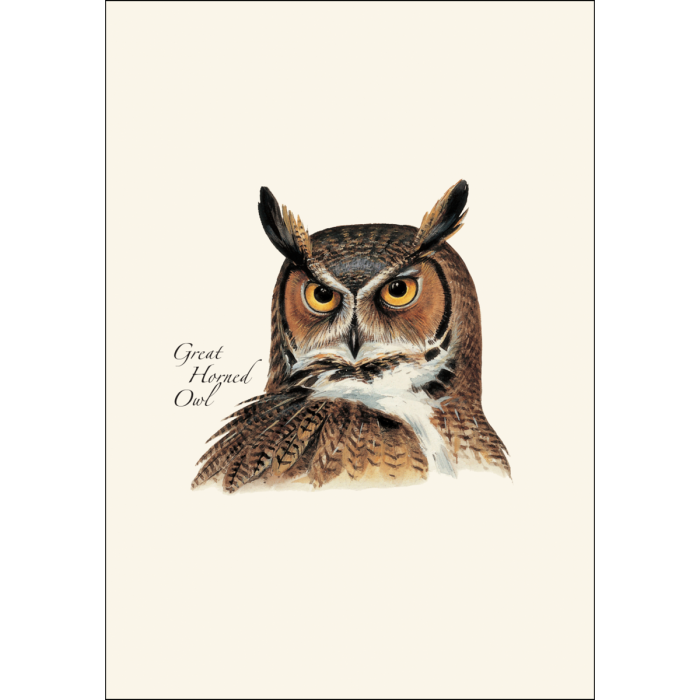 Earth Sky + Water - Wholesale Stationery/Notecard Set - Peterson's Owl Assortment1