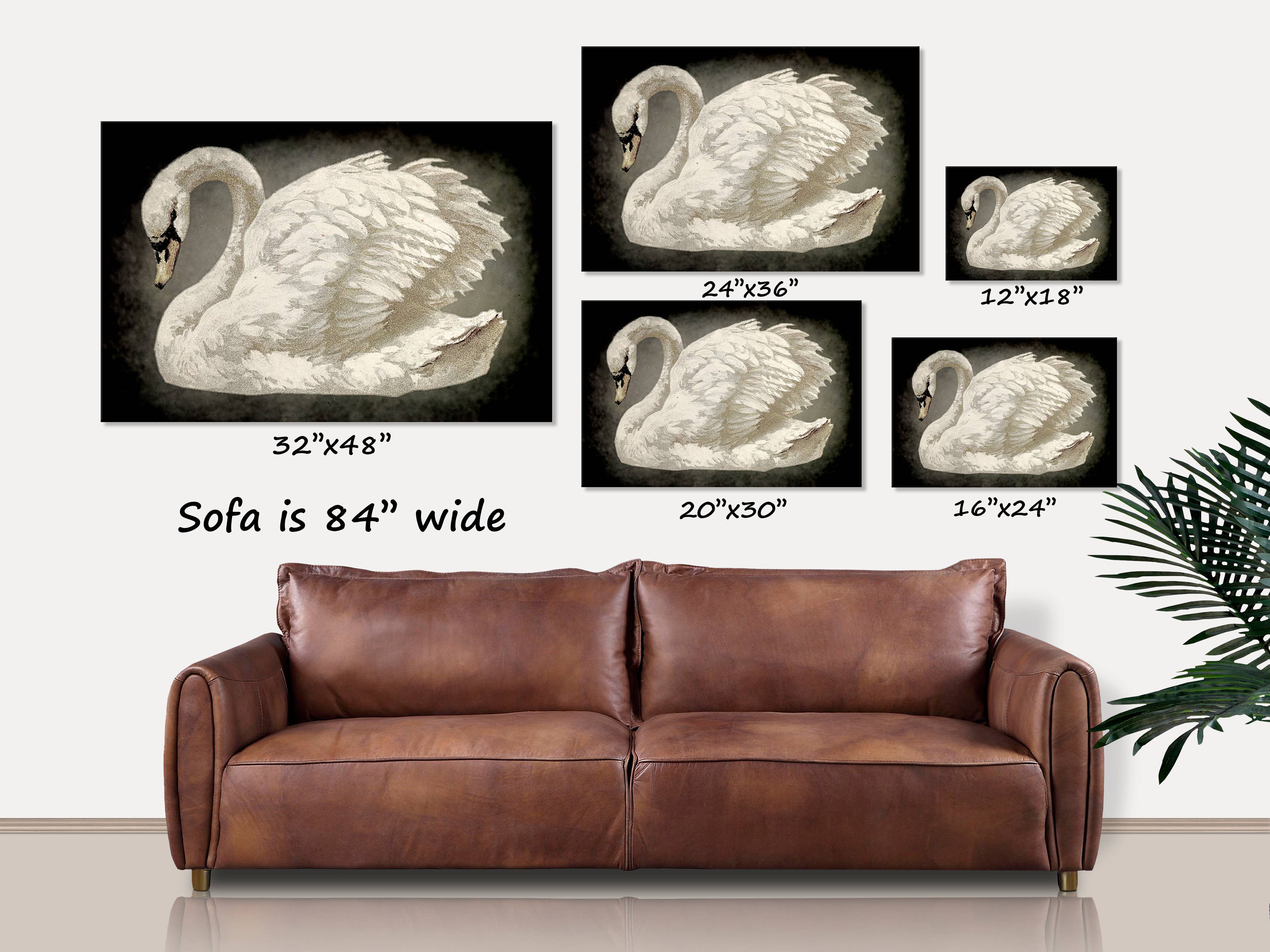 Olive Branch Farmhouse - Wholesale Canvas Art - Vintage Swan Canvas Wall Art Antique Minimalist Decor0