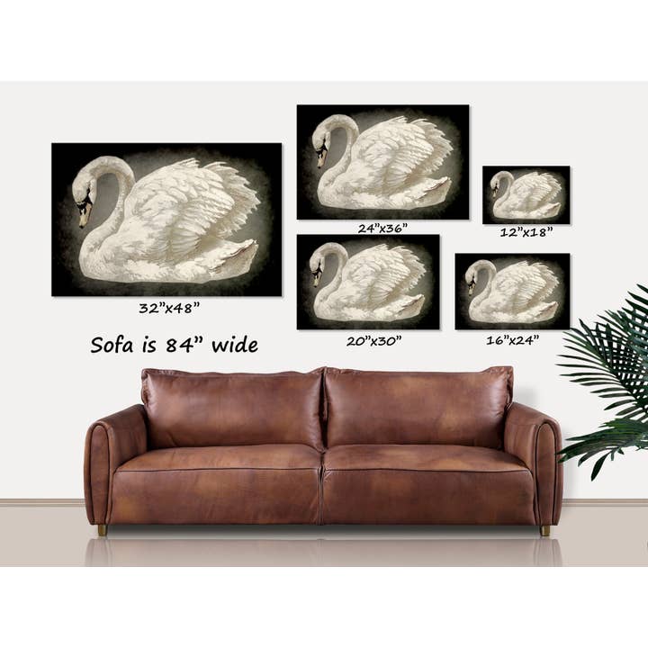 Olive Branch Farmhouse - Wholesale Canvas Art - Vintage Swan Canvas Wall Art Antique Minimalist Decor