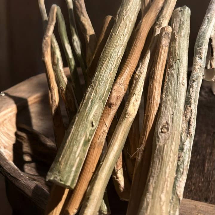 ELITEA - Wholesale Toothpick - 10 Balanites (Sump) wooden toothpicks2