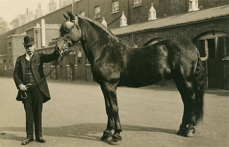 Found Image Press - Wholesale Magnet - Magnet EQ-118 Man in Bowler with Draft Horse0