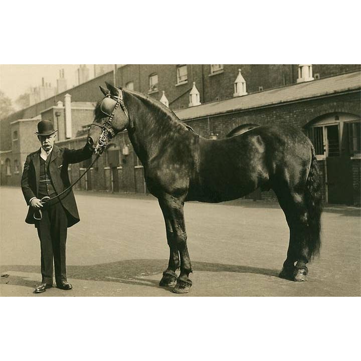 Found Image Press - Wholesale Magnet - Magnet EQ-118 Man in Bowler with Draft Horse