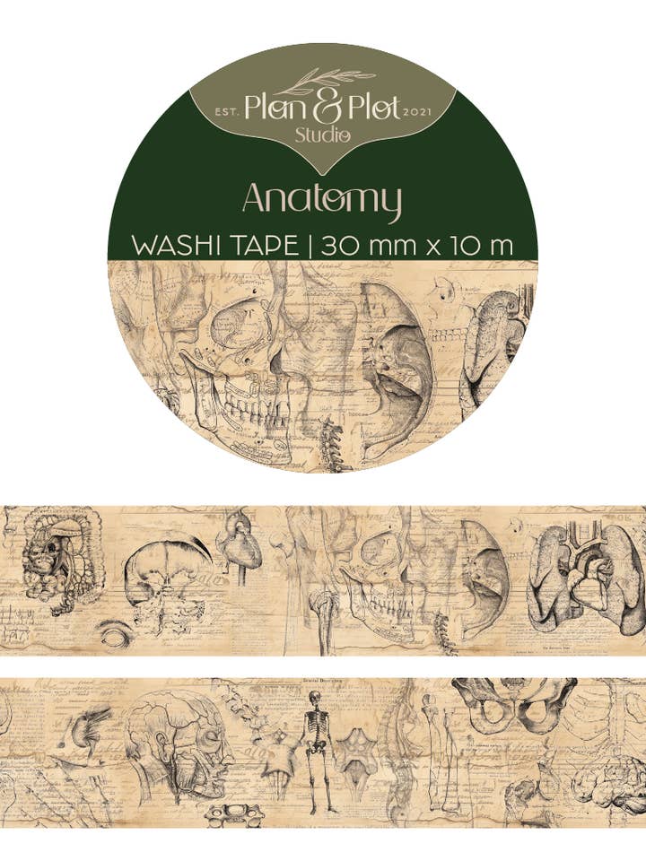 Anatomía | Cinta washi para venta al por mayor de Plan & Plot Studio