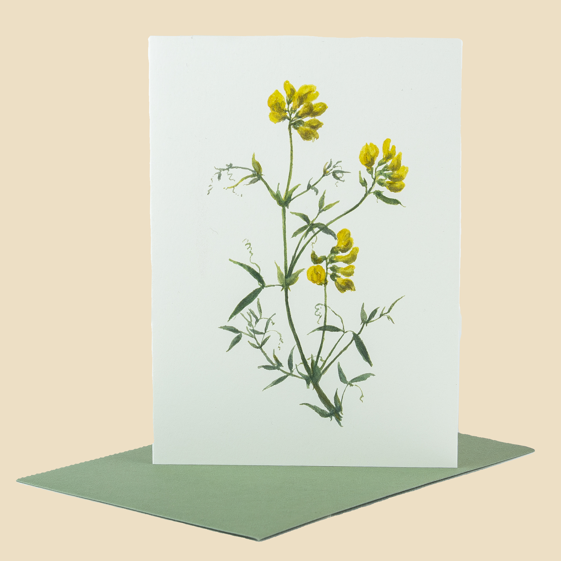 Sophia Davenport - Wholesale Everyday Greeting Card - Wildflower Greeting Cards and Notelets38