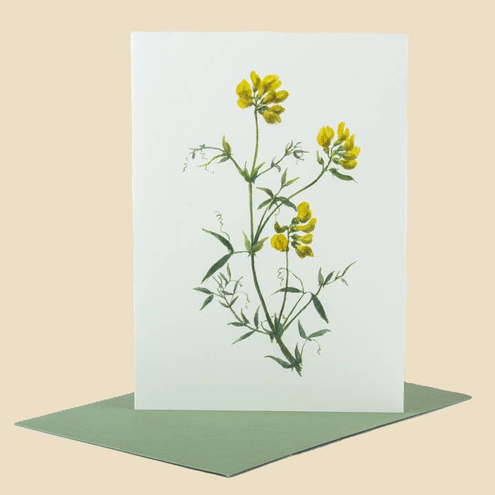 Sophia Davenport - Wholesale Everyday Greeting Card - Wildflower Greeting Cards and Notelets38