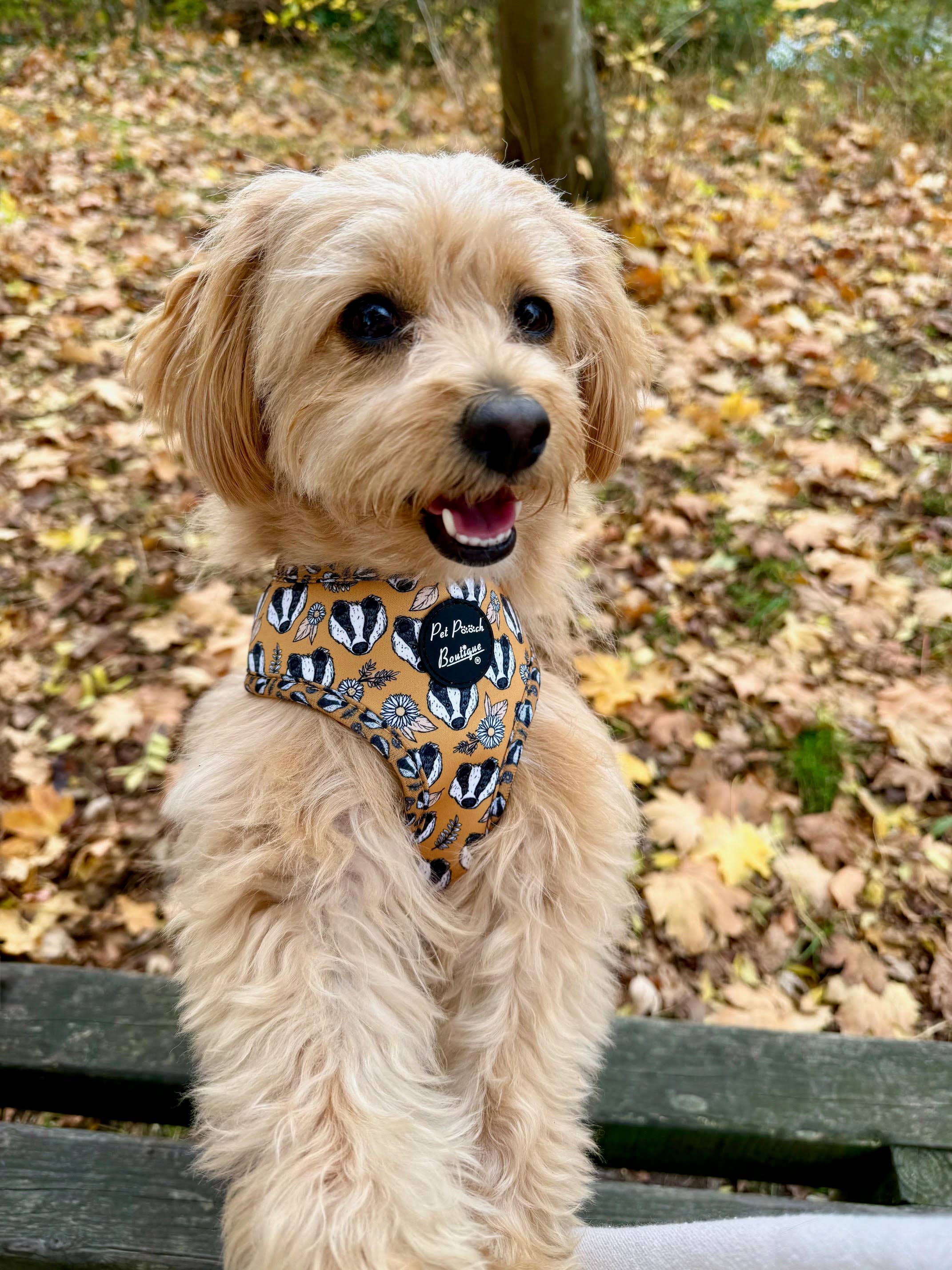 Pet Pooch Boutique – wholesale Pet harness – Dog – Woodland Badger Puppy Dog Harness (Autumn/mustard yellow)18
