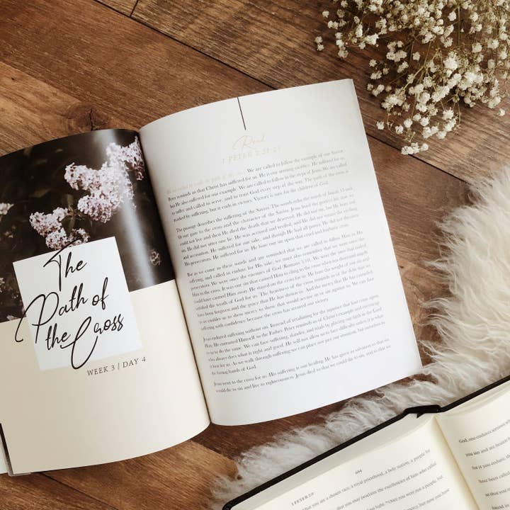 The Daily Grace Co - Wholesale Religion - Grace in the Wilderness | Study on 1 Peter6