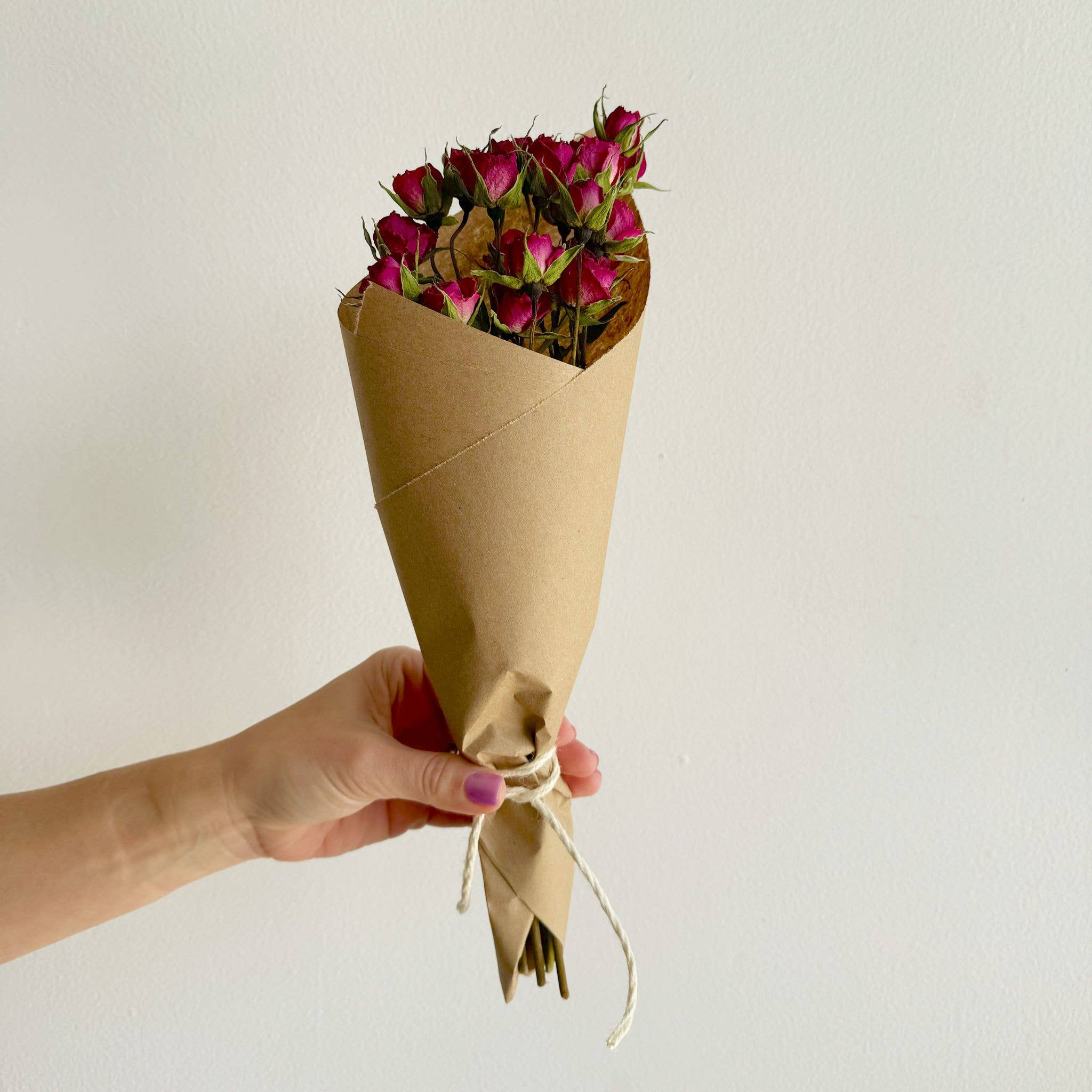 House of Lilac - Wholesale Dried/Pressed Flowers - Spray Rose Everyday Dried Flower Bunch3