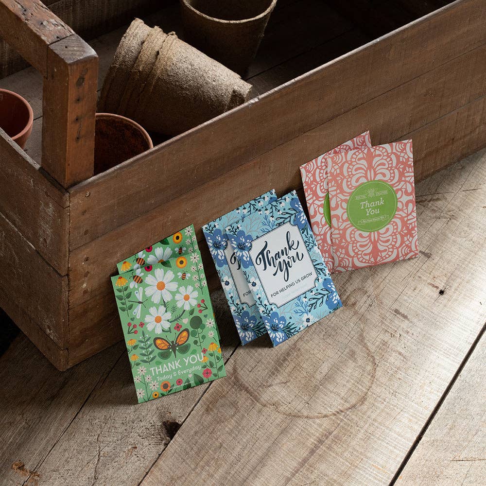 Bentley Seed Co. - Vente Graines de plantes - Merci Aujourd'hui Tous les Jours - Sachets de Graines Mélange de Fleurs Pollinisatrices9