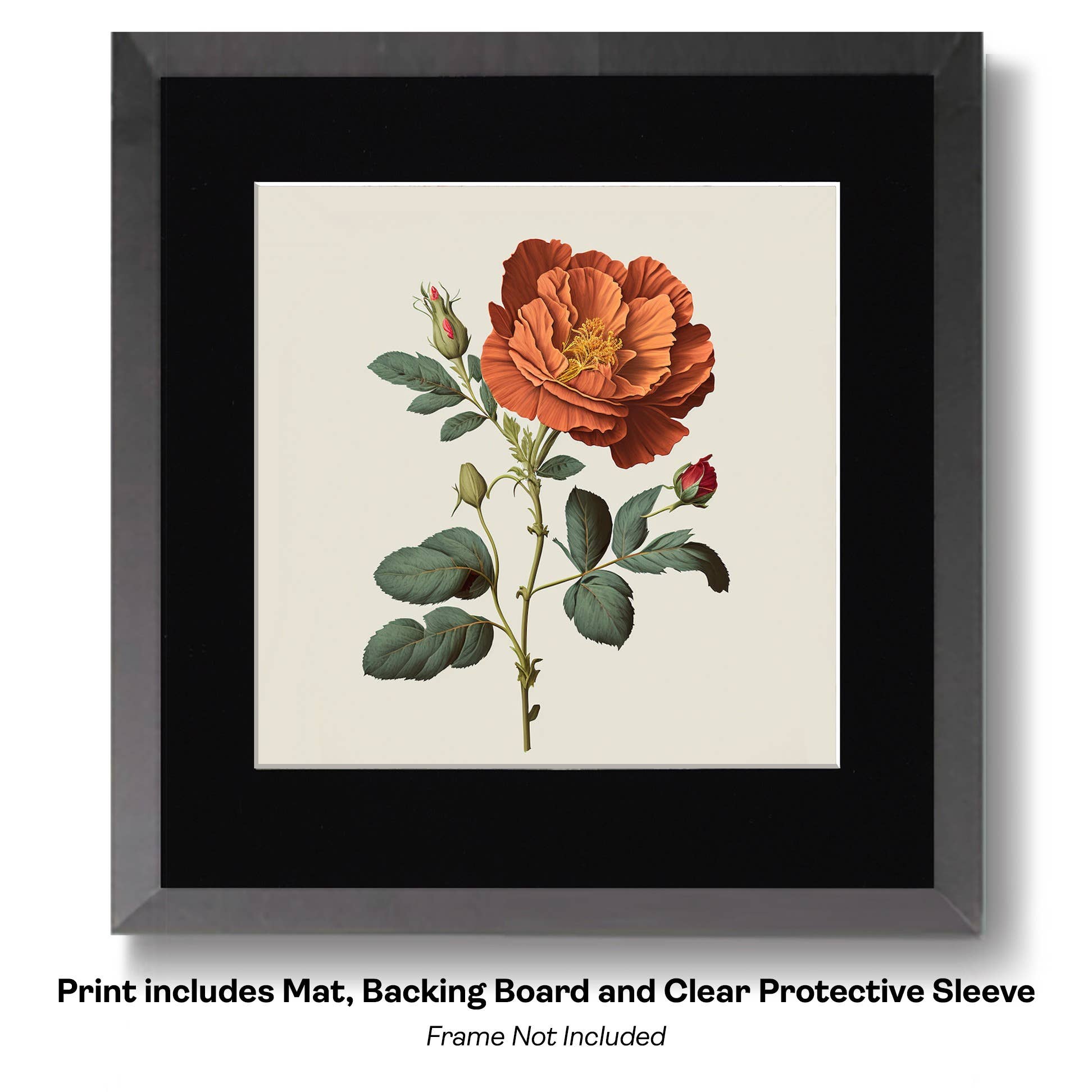 Mowbi - Vendita all'ingrosso Stampa artistica - Fiore Rosa Bicolore Rococò9