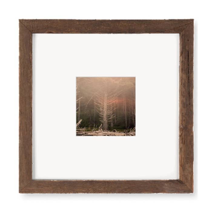 To the Land 3 Rialto Beach Analogs — 10x10 Framed Print for wholesale by The Studio