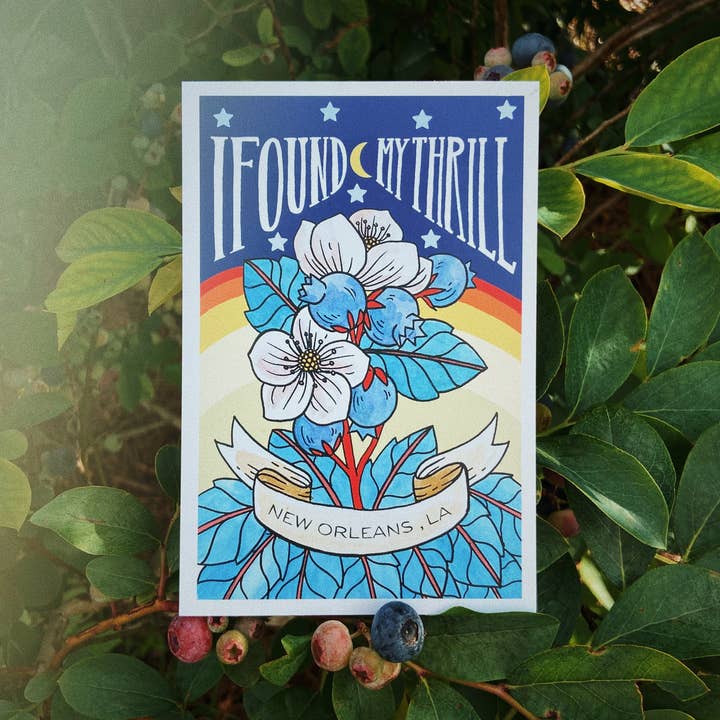 Tarjeta postal de Blueberry Hill para venta al por mayor de Mattea